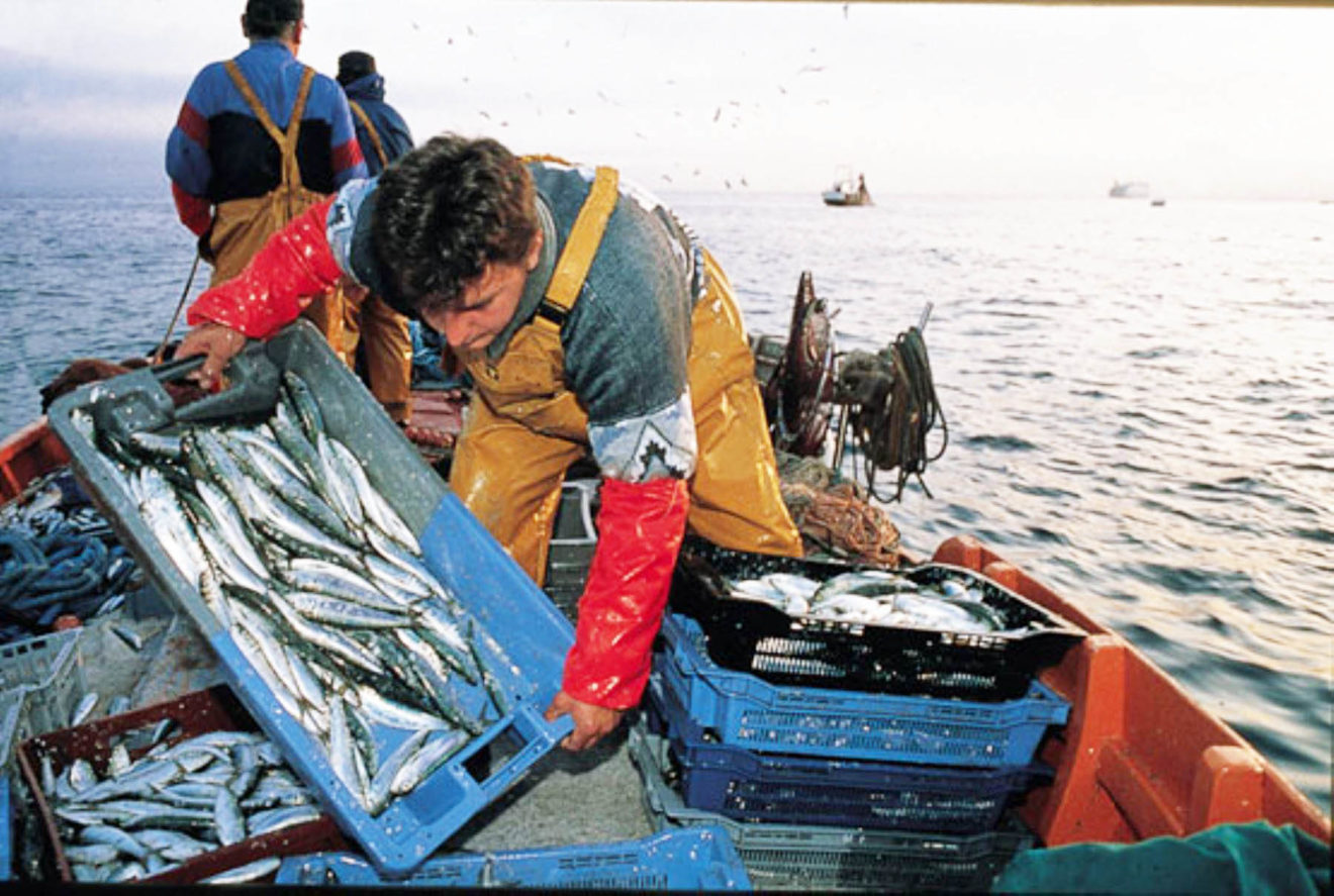 Pesca y minería entre los primeros sectores que podrían reactivarse