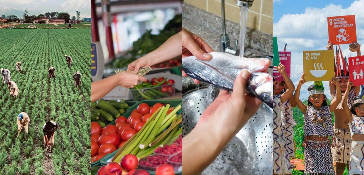 Congreso Internacional de Seguridad Alimentaria y Nutricional